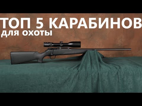 Видео: 💥 ТОП 5 ЛУЧШИХ КАРАБИНОВ МИРА