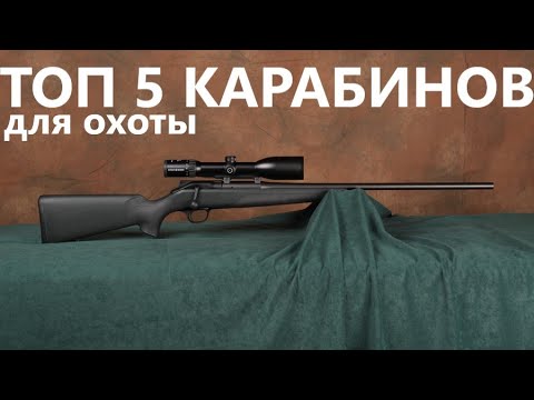 Видео: 💥 ТОП 5 ЛУЧШИХ КАРАБИНОВ МИРА