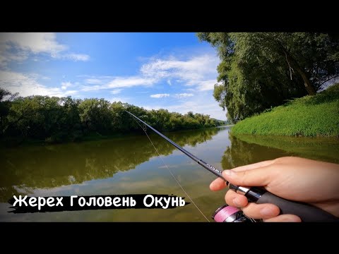 Видео: ПЕРЕВІРИВ ЩО КЛЮЄ НА р.ДНІСТЕР