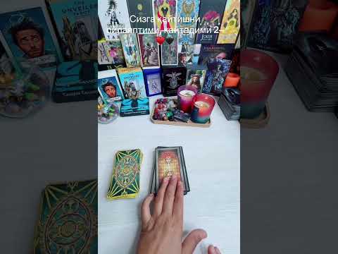 Видео: Сизга қайииш нияти борми? Қайтадими)!#карта #tarot 