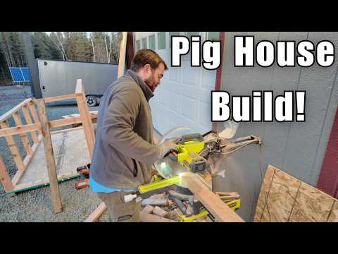 Видео: Подготовка к зиме на Аляске началась | Самодельные свинарники и умный способ спасения