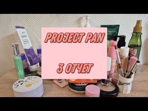 Видео: PROJECT PAN 2025 | 3 отчет