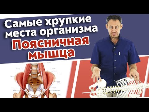 Видео: Работа с поясницей / Почему поясничная мышца так важна и что на неё влияет?