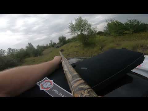 Видео: Отстрел Ружья Impala Plus 760 ств Чоки Progress и РДС