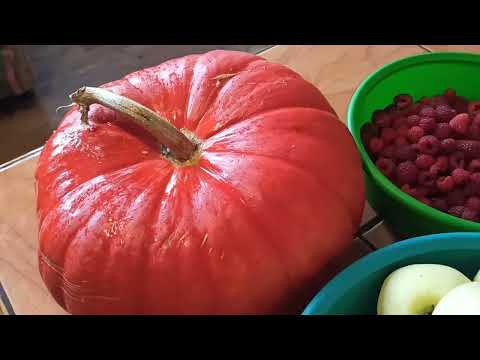 Видео: Готовим нежнейшее пюре из тыквы с яблоками