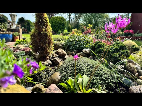 Видео: Моя каменная горка: как появилась и что растёт 🌱Обзор растений 🌱 АПРЕЛЬ