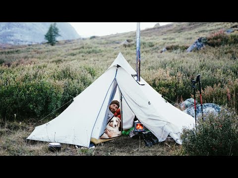 Видео: Медведь рядом с палаткой | Наконец добыл еду в диких условиях