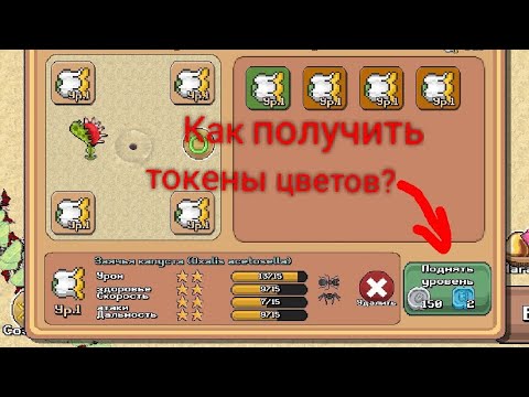 Видео: Как получить токены цветов/Pocket ants