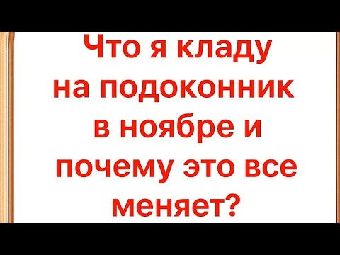 Видео: Что я кладу на подоконник в ноябре и почему это меняет все?