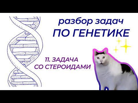 Видео: Разбор задачи по генетике ЦТ 2021 года