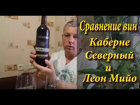Видео: Сравнение сухого вина Каберне Северный и Леон Мийо!
