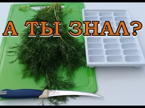 Видео: Как СОХРАНИТЬ УКРОП на зиму? Самые лучшие, проверенные способы