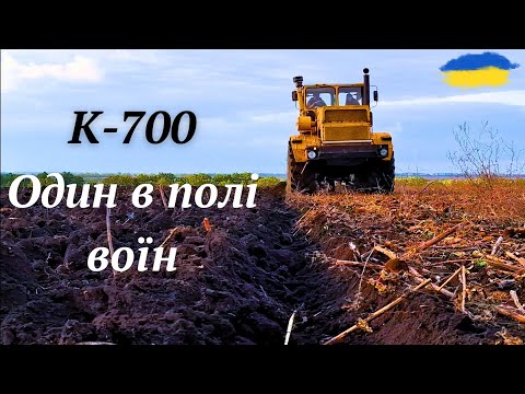 Видео: К-700 початок сезону. Налаштування плуга. Засуха. LEGENDARY K-701. Tractor 🚜.MONSTER.