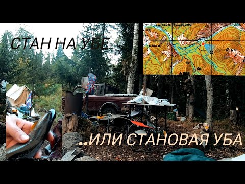 Видео: Становая. Один из притоков Убы.