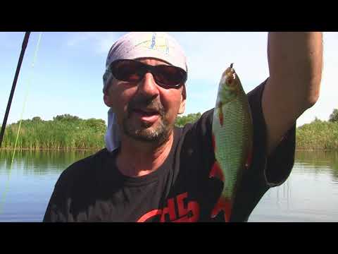 Видео: Один на реке. Куда подует ветер. Следуя за ветром