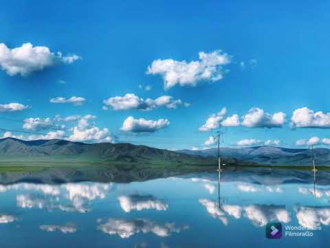 Видео: 22.Үйлийн үр