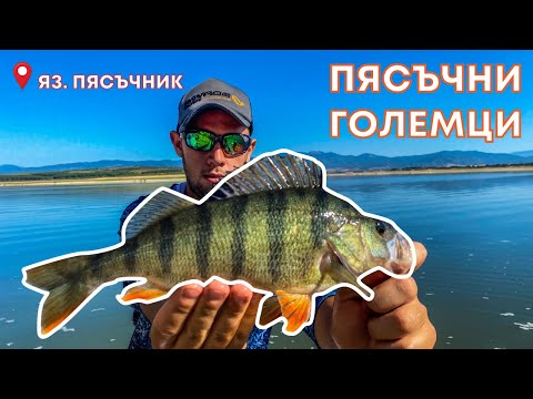 Видео: РИБОЛОВ НА КОСТУР И БЯЛА РИБА.  ЯЗОВИР  ПЯСЪЧНИК