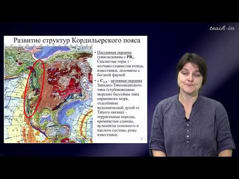 Видео: Лыгина Е. А. - Историческая геология. Краткий курс - 12. Геологическая история Земли в палеозое 2