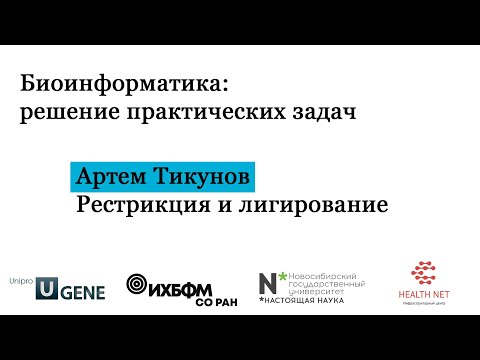 Видео: B1T4 - рестриктазно-лигазный метод