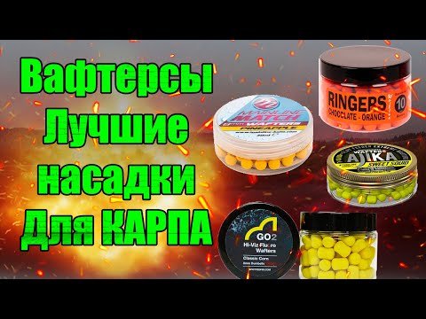 Видео: Вафтерсы НАСАДКИ НА КАРПА, КОТОРЫЕ РАБОТАЮТ ВЕЗДЕ  Лучшие насадки на карпа