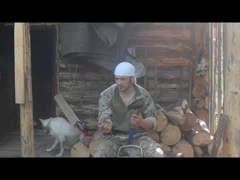 Видео: Моя паняга.