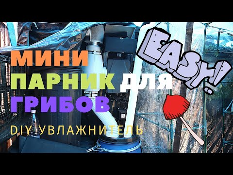 Видео: Как сделать парник для грибов и увлажнитель воздуха - Ежовик Гребенчатый