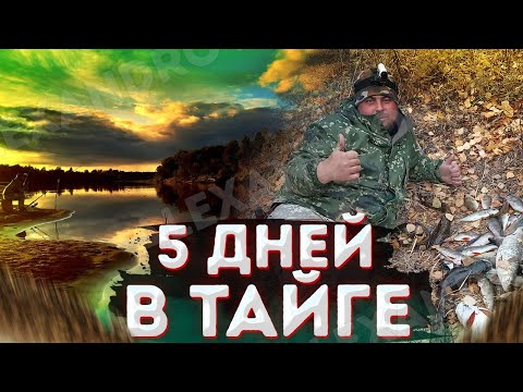 Видео: ПЯТЬ ДНЕЙ В ТАЙГЕ, ЖИВЁМ В ПАЛАТКЕ \ РЫБАЛКА НА НАЛИМА \ ПОЛНАЯ ВЕРСИЯ!