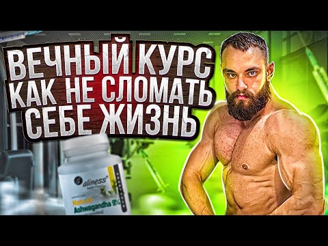 Видео: Вечный курс. ГЗТ. мосты между курсами. Планы на ближайшее время
