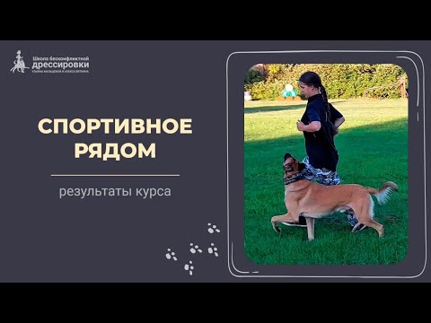 Видео: Спортивное движение рядом
