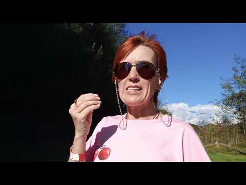 Видео: Абхазия. Гудаута / Челлендж / Попытка дойти до подножия / Местный рынок