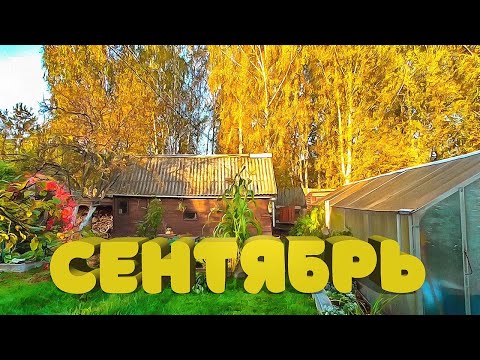 Видео: Сентябрь 2024