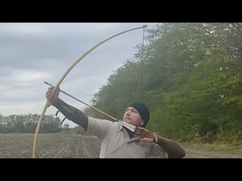 Видео: Длинный лук из ясеня 