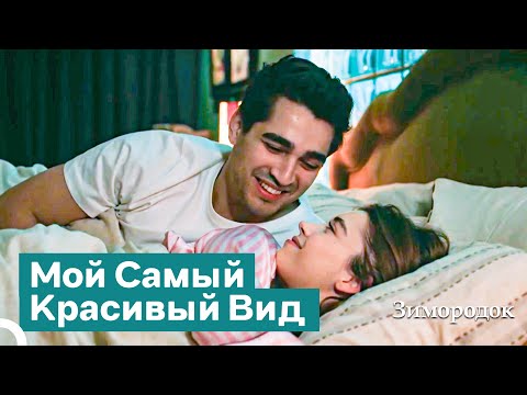 Видео: Страстные Моменты Перед Сном | Зимородок