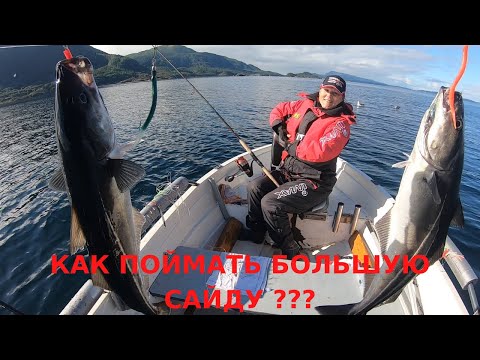 Видео: КАК ПОЙМАТЬ КРУПНУЮ САЙДУ. РЫБАЛКА В НОРВЕГИИ.