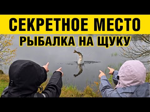 Видео: Осенняя рыбалка 2025 на щуку с неожиданным уловом!