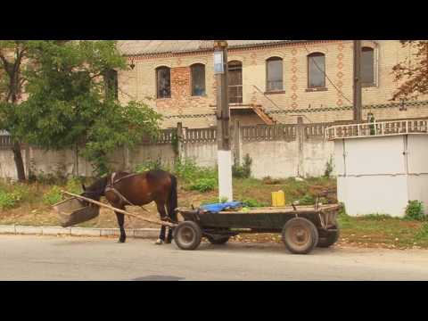 Видео: Полонное film