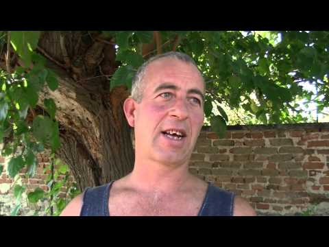 Видео: Рачев строй чисти, подравнява и чакълира улици в Карабунар