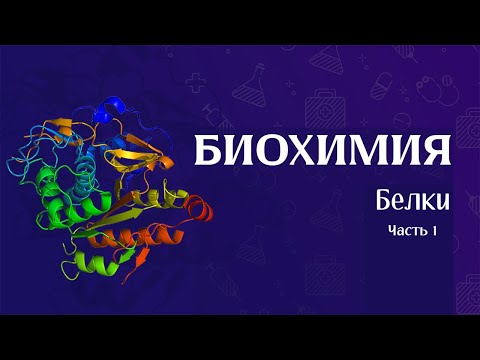 Видео: Биохимия | Строение белков часть 1