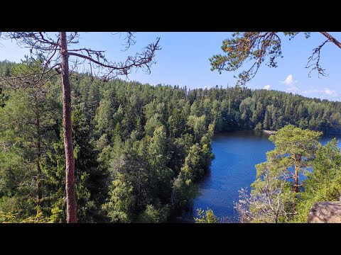 Видео: Отход на теплоходе из Санкт-Петербурга...На острове Валаам ❤️#санктпетербург #спб #валаам#теплоход