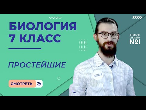 Видео: Простейшие. Урок 2. Биология  7 класс