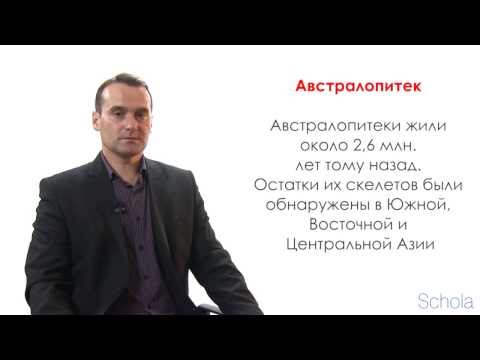 Видео: История Казахстана. Каменный век