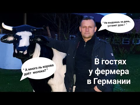 Видео: В гостях у фермера в Германии. Процесс дойки коров.