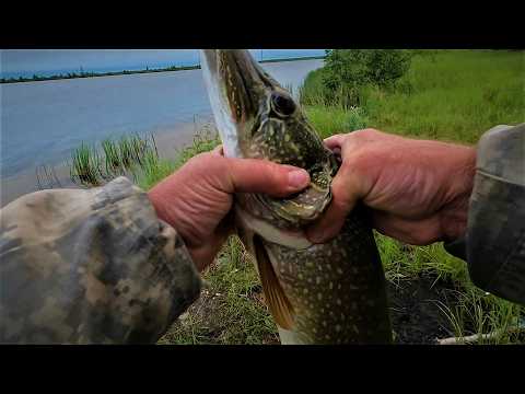 Видео: ОДИН РЫБАК НА РЫБАЛКЕ ТОЖЕ МОЖЕТ ИСПЫТАТЬ УДАЧУ И ХАПНУТЬ МНОГО УДОВОЛЬСТВИЯ! КЛЁВОЕ ОЗЕРО ОДНАКО)!