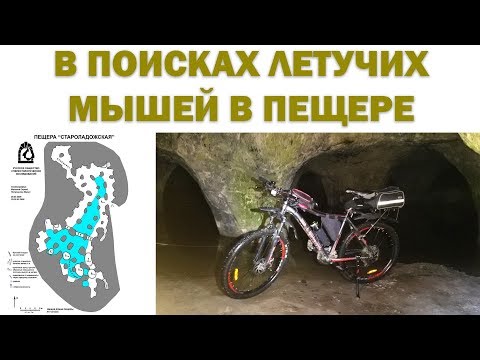 Видео: В Староладожскую пещеру на велосипеде