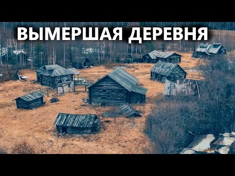 Видео: Решил проверить рассказ бабушки, находки бьют рекорд. Коп поиск монет 2023