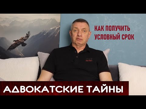 Видео: Как получить условный срок по статье 159 УК РФ