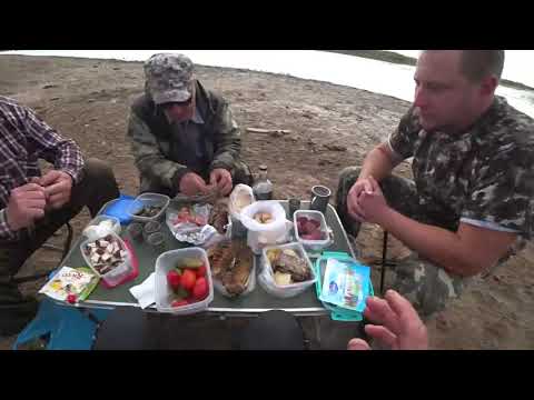 Видео: Охота на утку 2023г №2