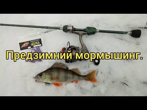 Видео: Предзимний мормышинг. Душевное закрытие сезона открытой воды, с DAYO Prestige 1.98.