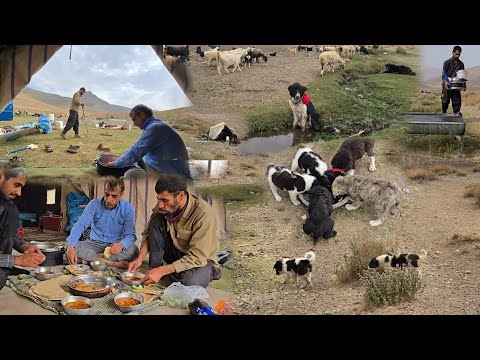 Видео: Настоящая жизнь кочевников: голодные щенки и кипящий бульон на костре в самом сердце нетронутой пр