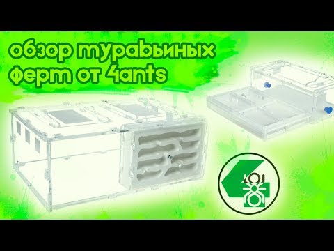 Видео: Распаковка двух новых муравьиных ферм от 4ants! Белый Дом XL и Direct PRO!